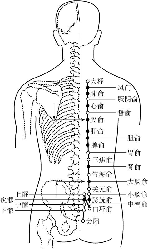 背部穴